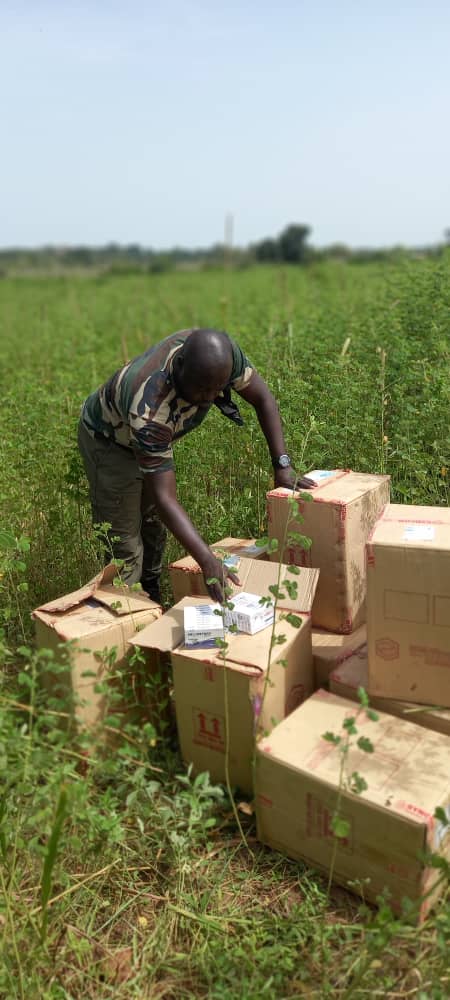 RÉSEAUX ET COULOIRS DE TRAFICS DE PRODUITS PROHIBÉS OU DE CONTREBANDE : La Douane saisit 40 000 flacons d’Artéméther injectable à Nioro (Kaolack) et 6 conteneurs d’huile végétale à Dakar.