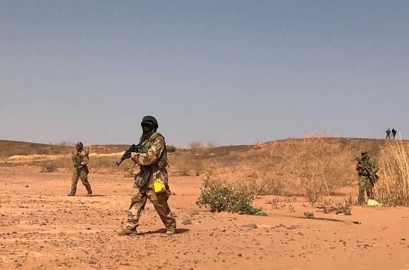 Niger : une tuerie, deux versions sur l'identité des victimes.