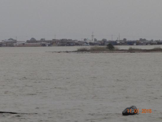 Cas de noyade au Waladekh : Deux jeunes meurent dans le bras de mer de Kaolack... Leurs corps toujours introuvables.