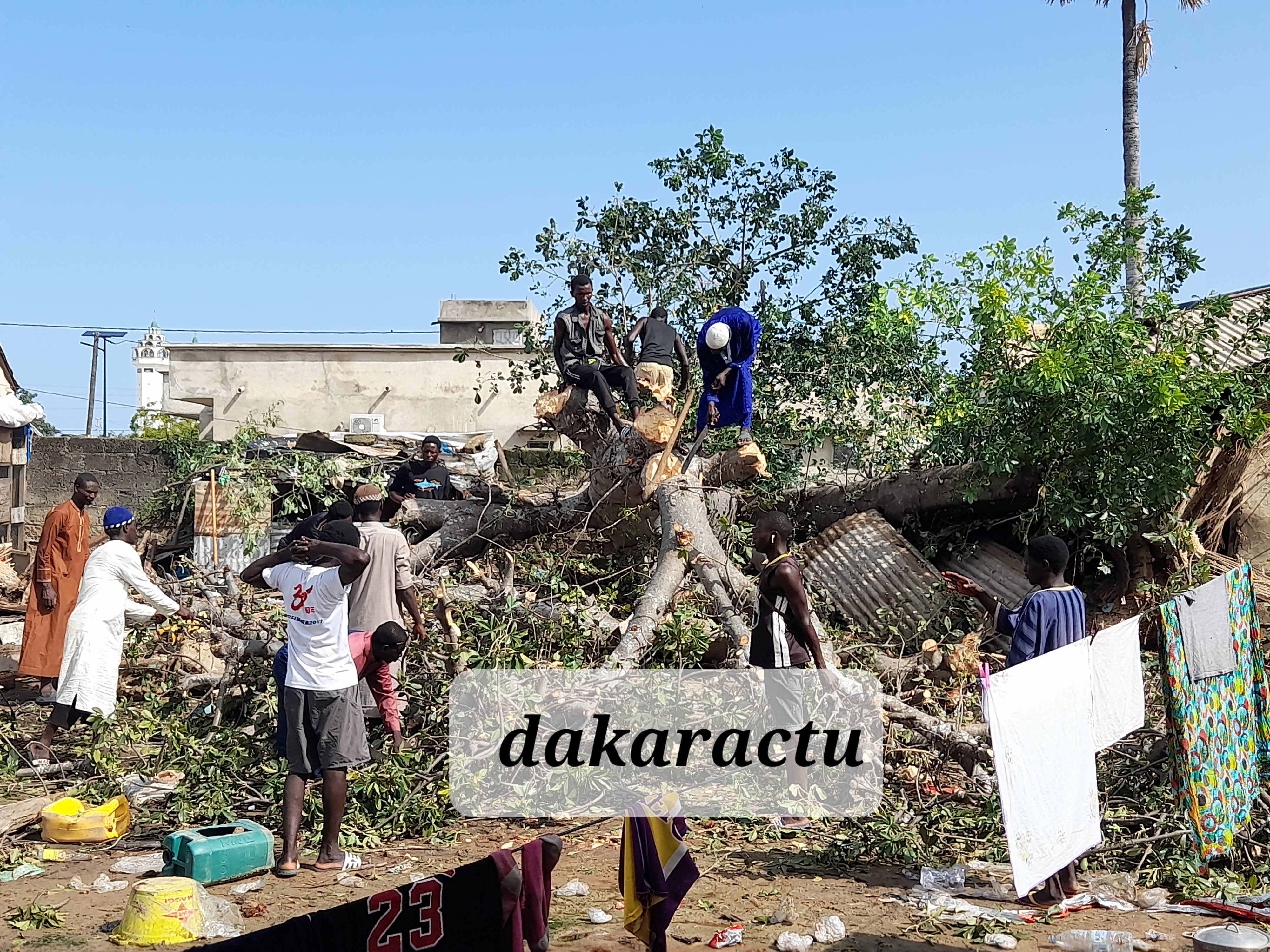 Fortes pluies à Kaolack: Un baobab s'effondre sur une maison: Une vingtaine de personnes de nationalité bissau- guinéenne blessée.