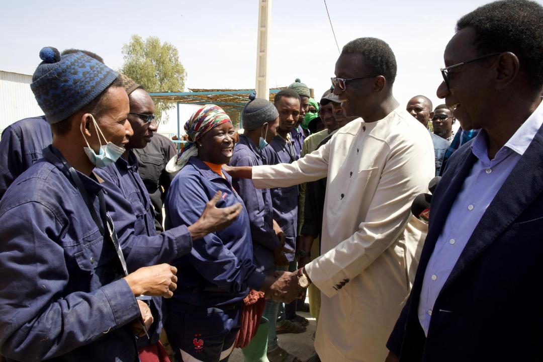 Élevage : Le PM Amadou BA réceptionne 1300 génisses gestantes à haut potentiel de laitier, à Niague