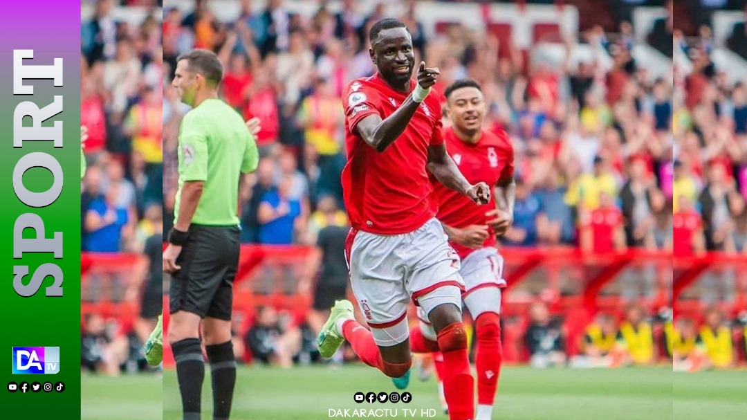 Fin de carrière en Angleterre ?… : Cheikhou Kouyaté, un modèle de constance et de fiabilité en Premier League