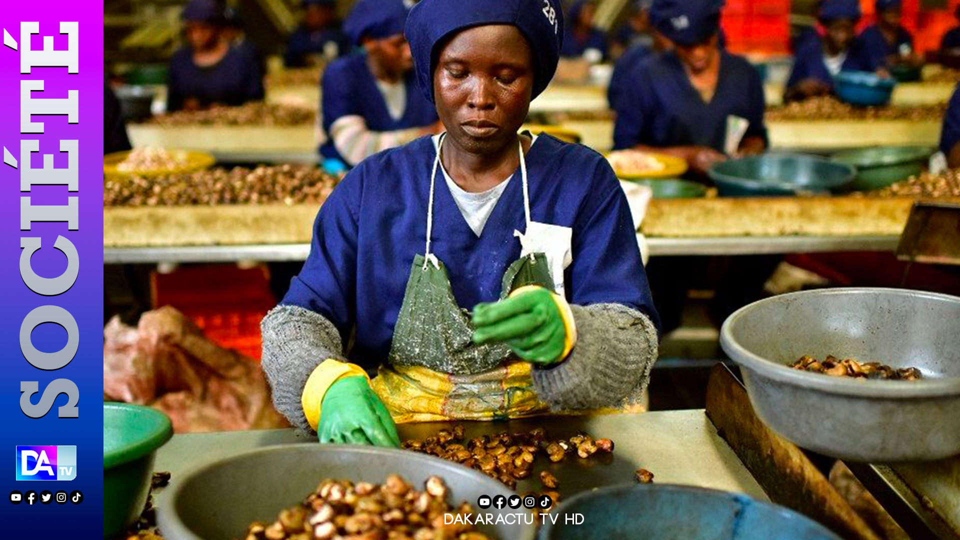 KOLDA : La fermeture de l’usine de cajou « Eticajou » et treize autres envoie de nombreuses femmes au chômage…