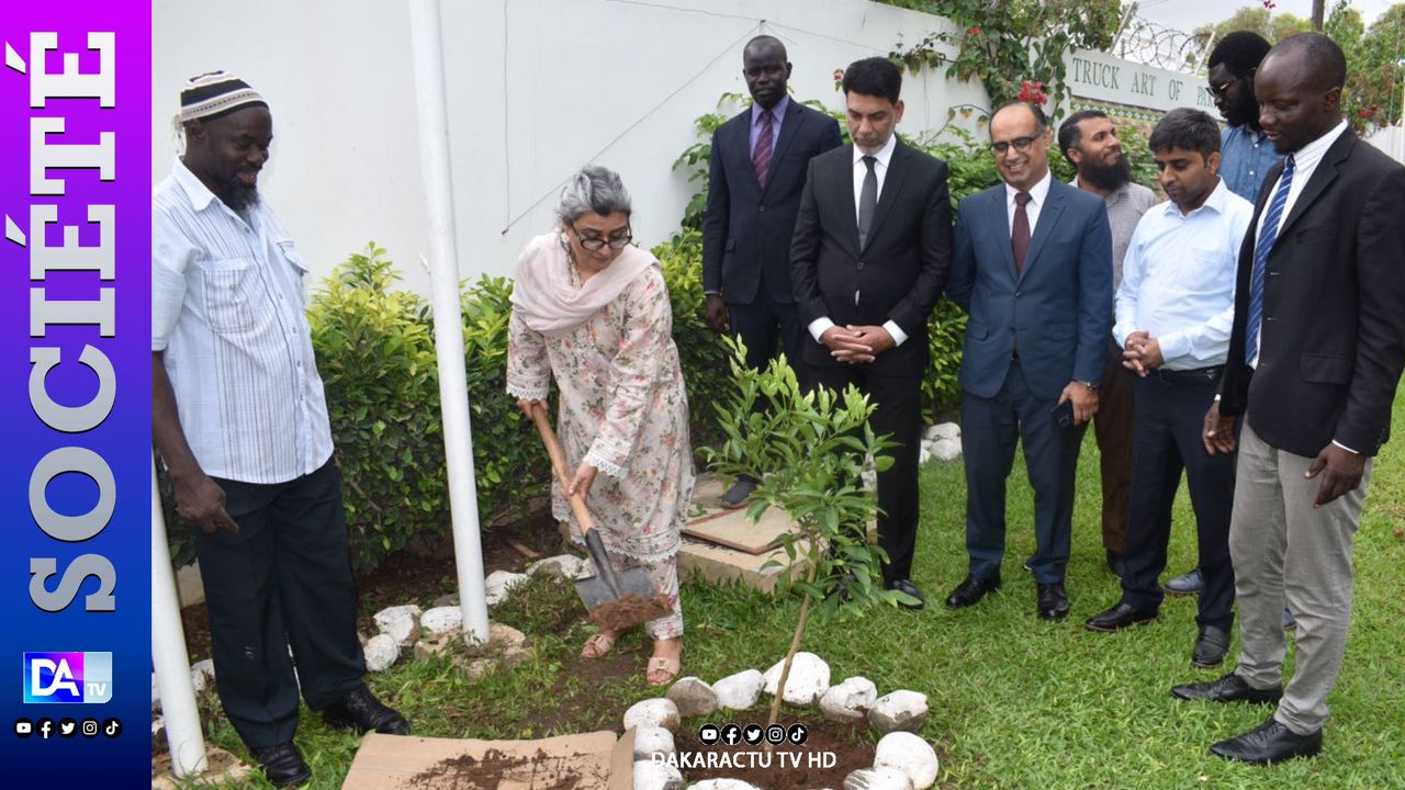 Journée Nationale de l'Arbre : l'Ambassadrice du Pakistan au Sénégal a planté son "oranger" symbole de relations fraternelles bilatérales