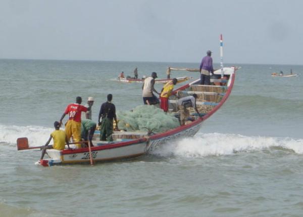 Sale temps à la Direction de la protection et de la surveillance des pêches : Les 150 millions du navire de Palamas divisent les agents et le directeur