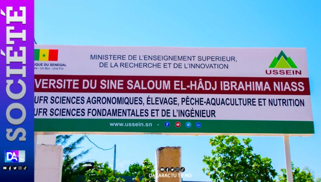 Licenciement annoncé de 328 agents permanents du CROUS-Sine Saloum : L’intersyndicale alerte les autorités étatiques