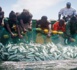 Gestion concertée et durable des ressources halieutiques : Les Ministres de la Pêche de l’UEMOA en conclave à Bissau