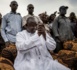 Adama Barrow ou le Pacte de bonne sortie de Yaya Jammeh