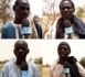 (VIDÉO) DÉSASTRES AUSSI DANS LE BAOL- Beaucoup de bétail mort à Darou Salam Polé, Nguilo, Naydé, Kadd Balodji et Touba Bélél...