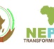 La transformation du Nouveau partenariat pour le développement de l'Afrique (NEPAD) en Agence de développement de l'Union africaine