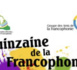 NGOUNDIANE : Mbagnick Ndiaye va présider le lancement de la Quinzaine de la Francophonie