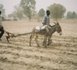 La jeunesse du monde rural : Les oubliés du régime libéral. 