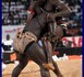 La prise de Eumeu Sene ayant abouti à la chute de son adversaire (PHOTO)