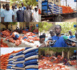 Kaolack / Appui Ramadan : 50 tonnes de riz et 5.000 kits alimentaires offerts aux populations par Pape Demba Bitèye.