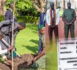 Journée Mondiale de l'Environnement : Diomaye plante un corossolier au Palais