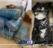Trafic de drogue : 471kg de chanvre saisis à Yenne