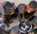 Amadou Tidiane Guiro dresse un tableau sombre : « Seuls 17% des Sénégalais sont en situation de sécurité alimentaire modérée »