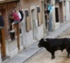 Les lâchers de taureaux en Espagne, passion fatale