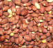 Nioro /Manquements dans la distribution d'engrais : Des cultivateurs en colère comptent interpeller le PR Diomaye
