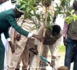 BDF à TOUBA : « C’est grâce  au travail de "Touba Ca Kanam" en matière de reboisement que Touba a été choisie pour abriter la journée de l’arbre »