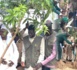 TOUBA/Cheikh Bass  à Diomaye : « Le choix porté sur Touba pour abriter cette journée de l’arbre, montre à quel point vous donnez de l’importance à la religion »