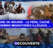 DÉCOUVERTE N°12 - Survivre ou Mourir : Le péril caché des chemins migratoires illégaux