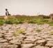 Neutralité de la dégradation des terres : Point chaud des négociations de la Cop 12 sur la désertification.