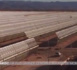 Maroc- Noor, la plus grande centrale solaire au monde sera à Ouarzazate (video)