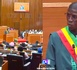 DPG : le député Saliou Dione plaide  pour l'emploi des jeunes et l'accès aux terres...