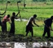 Retombées socio-économiques d’un projet agricole de 140 ha :  Wendou Bosséabé atteint l’autosuffisance alimentaire