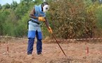 Casamance : les mines ont tué 797 personnes depuis 1988