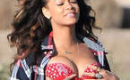 Rihanna seins nus dans un champ