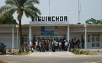 Bataille de Ziguinchor : Attention au Cheval de Troie !