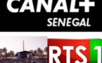 Organisation de Fan's Zone avec les Images de Canal + Sénégal : Un Signal d'illégalité selon la chaîne cryptée