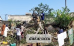 Fortes pluies à Kaolack: Un baobab s'effondre sur une maison: Une vingtaine de personnes de nationalité bissau- guinéenne blessée.