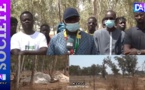 Litige foncier à Saly/ Les populations réclament leur forêts... De gros bonets indexés " Nous exigeons l'arrêt immédiat des travaux et interpelons les autorités " (Pape Amadou Diagne )