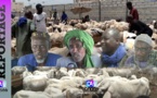 Foirail de Rufisque : l’acheminement des moutons compris entre 200 et 500.000FCFA inquiète les éleveurs (reportage).