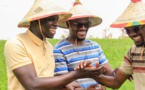 Vacances agricoles Patriotiques: Ngagne Demba Toure et la JPS comptent cultiver 2,5 hectares à Fass-Boye