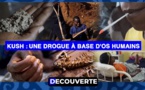 DÉCOUVERTE (N°6) - Kush : Une Drogue à base d'os humains en provenance de la Sierra Leone, étend son influence au Sénégal