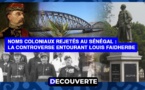 DÉCOUVERTE N°10 - Noms coloniaux rejetés au Sénégal  : La Controverse entourant Louis Faidherbe et son héritage troublant