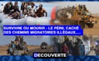 DÉCOUVERTE N°12 - Survivre ou Mourir : Le péril caché des chemins migratoires illégaux