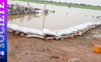 Crue du fleuve sénégal - Sa femme et ses enfants délogés par les inondations: Un bakelois résidant à Thiès laisse tout derrière lui pour aller au chevet de sa famille