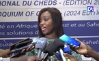 Colloque International du CHEDS 2024 : "Nous avons ici tous les ingrédients pour trouver des solutions durables..." (Mayé Sy Seck, spécialiste en sécurité urbaine)