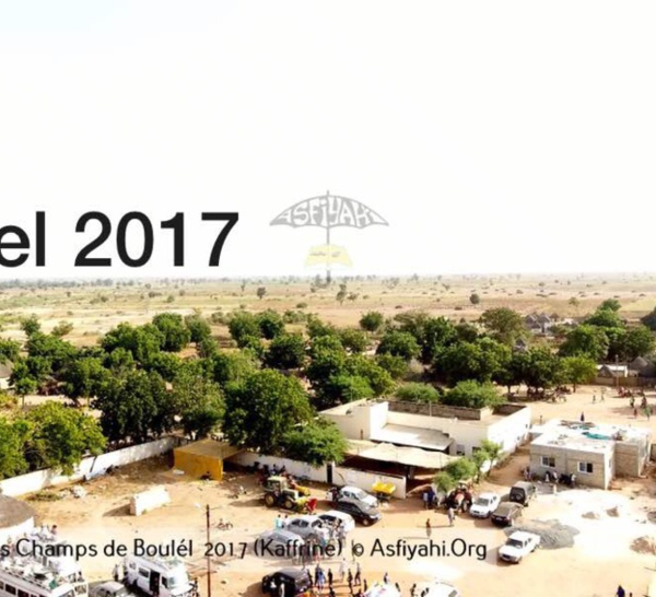 PHOTOS - Regardez les Images de la Récolte 2017 des Champs de Boulél (Kaffrine), cultivés par Serigne Abdoul Aziz SY Al Amine