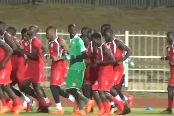 Première séance d’ entraînement des lions à Polokwane