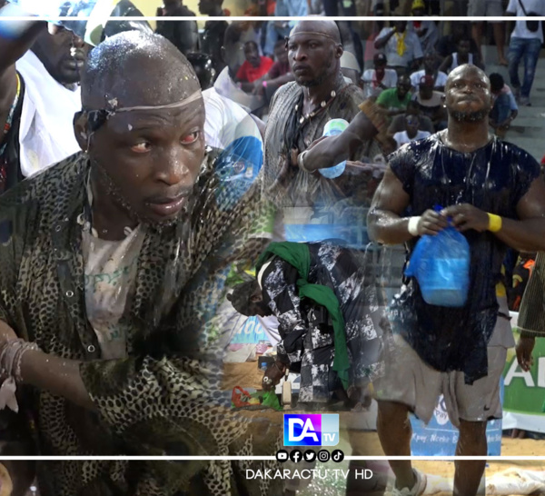 XATARBI : Revivez l’intégralité des temps forts du combat royal entre Modou Lô et Ama Baldé