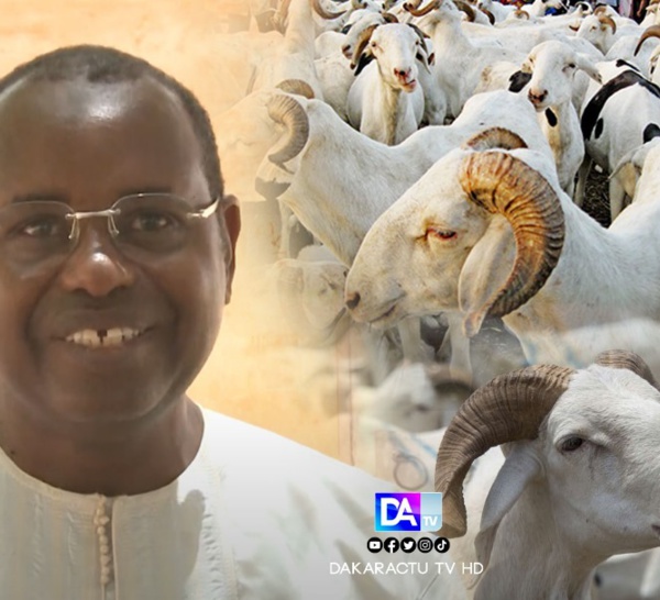 Disponibilité et cherté du mouton : Harouna Gallo Ba rassure vendeurs et clients