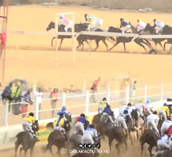 Grand Prix du Chef de l'État : Les Jockeys en piste ce dimanche, à Thies !