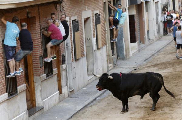 Les lâchers de taureaux en Espagne, passion fatale