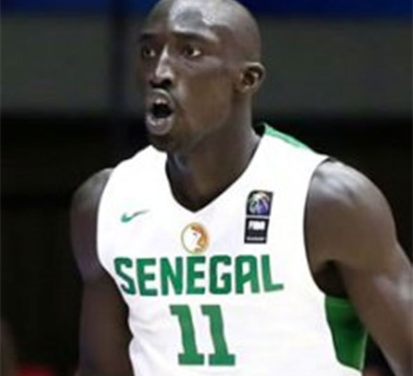 Afrobasket: Mouhamed Faye présente ses excuses